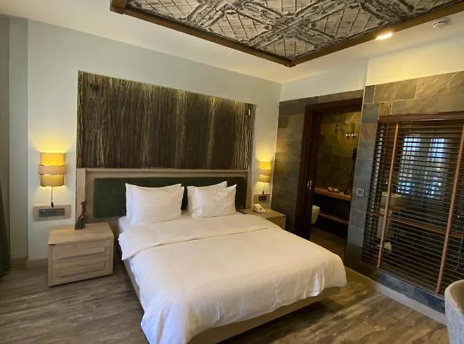 酒店 Tas 盖利博卢